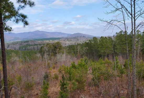 144 Acres of Land for Sale in rutherford County North Carolina