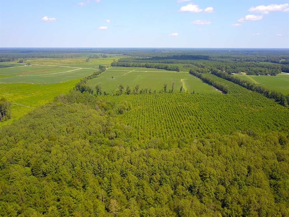 property for sale on The Land Market
