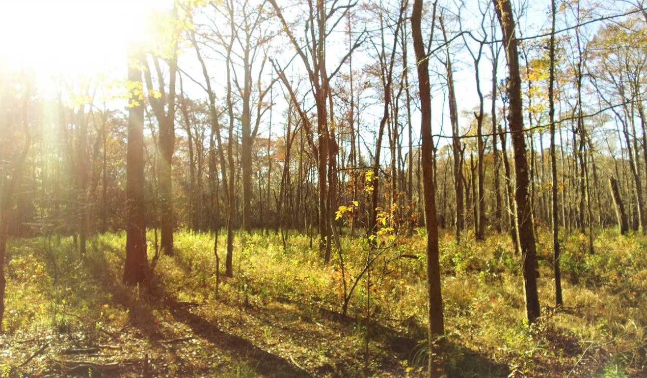 Houses and land for sale in Louisiana