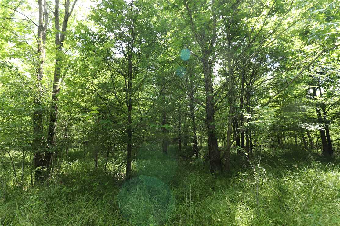 Residential and   property for sale on The Land Market