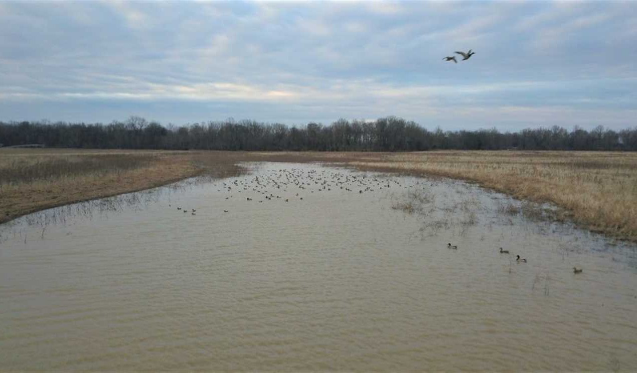 white County, Arkansas property for sale