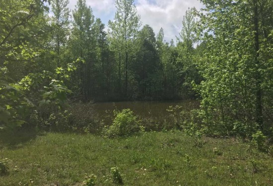 8 Acres of Land for Sale in sharp County Arkansas
