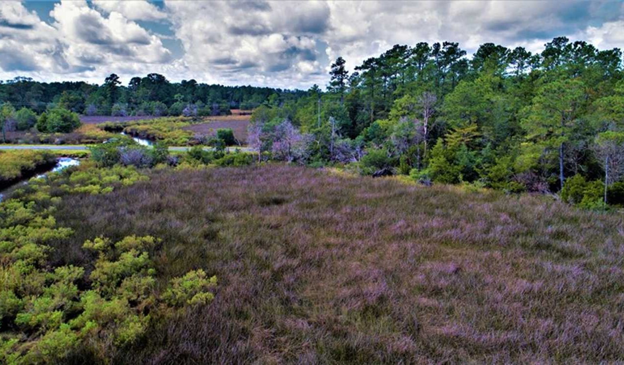 property for sale on The Land Market