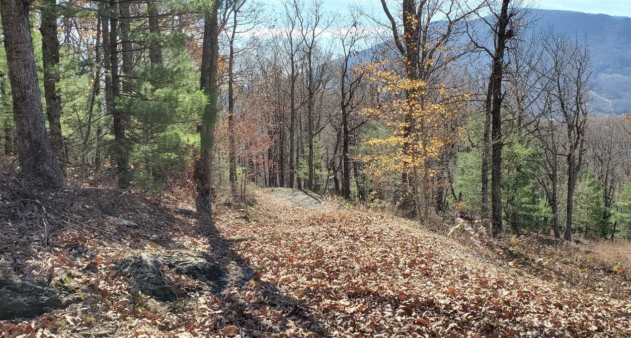 50 Acres of Residential land for sale in Jefferson, ashe County, North Carolina