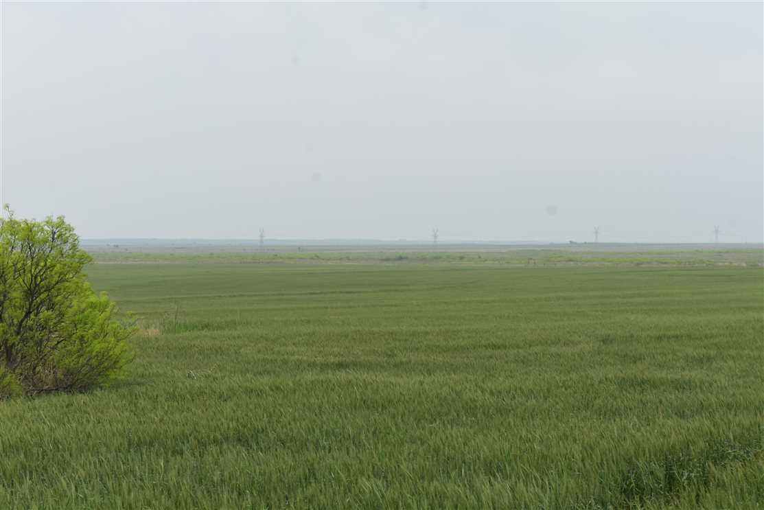 Land for sale to buy in 76310 zip code