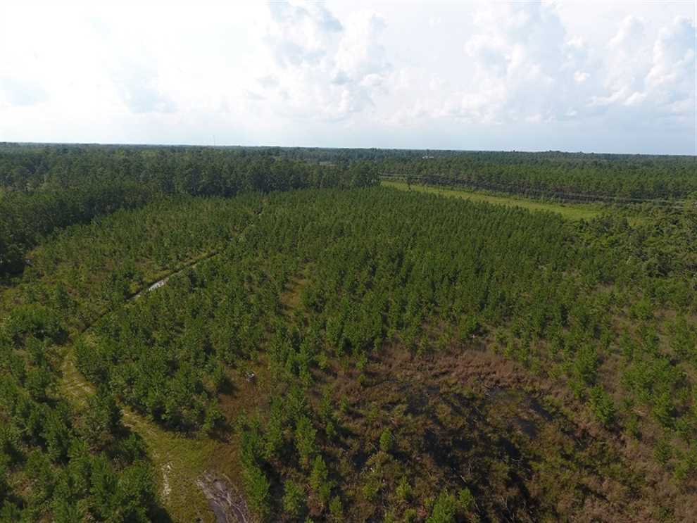 Land for sale to buy in 28434 zip code