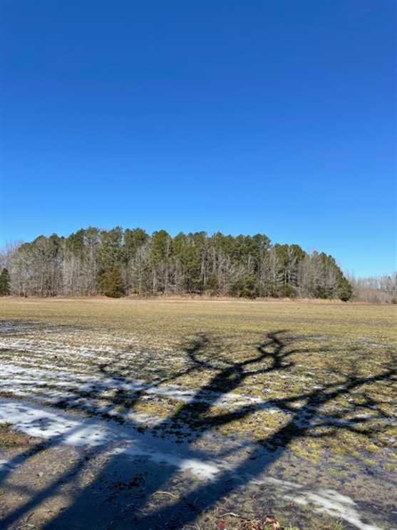 union County, Mississippi property for sale