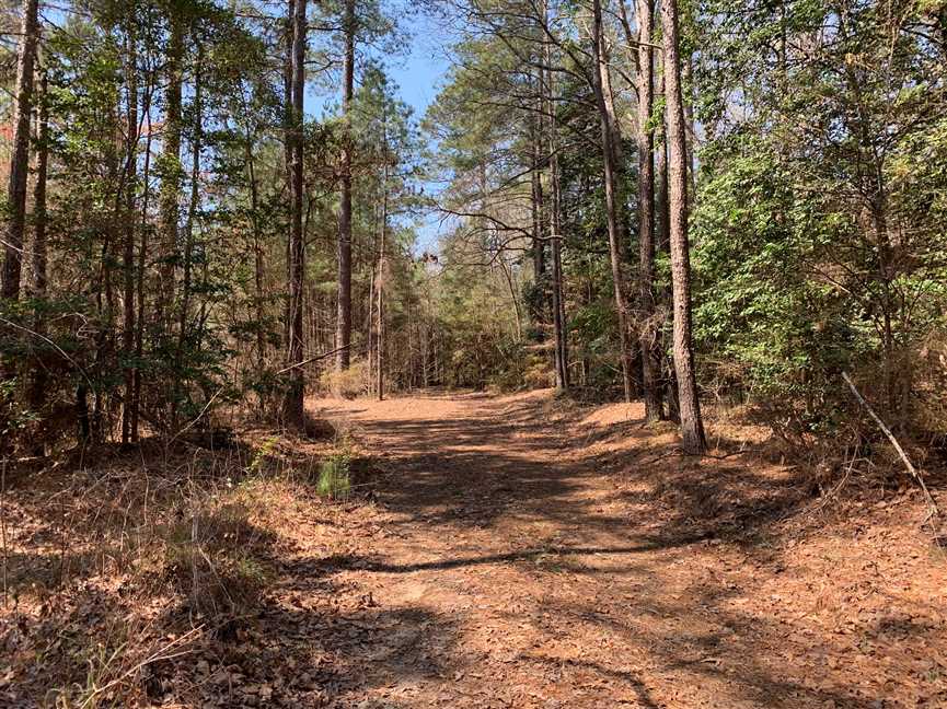 Houses and land for sale in Louisiana