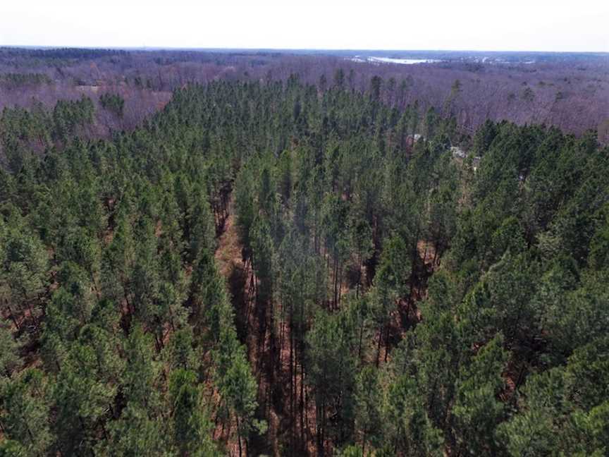 mecklenburg County, Virginia property for sale