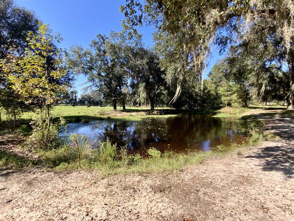 112.7 Acres of Land for sale in madison County, Florida