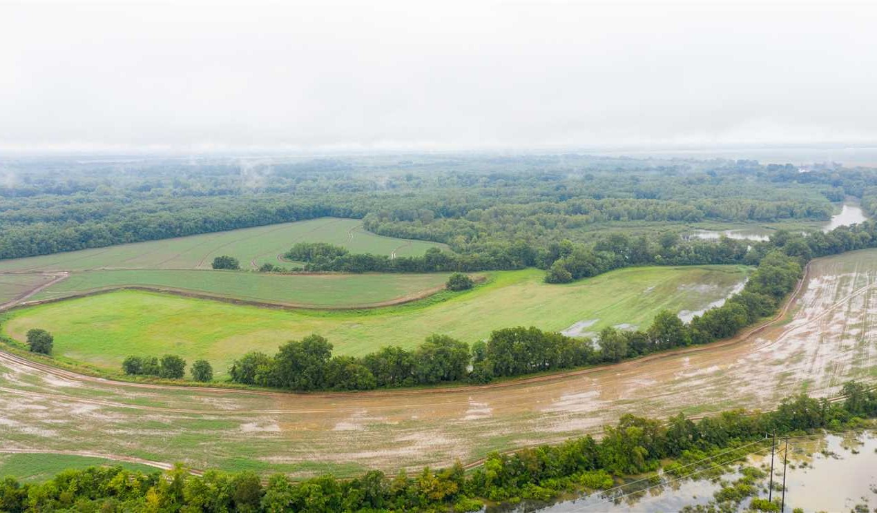Newport land available for purchase