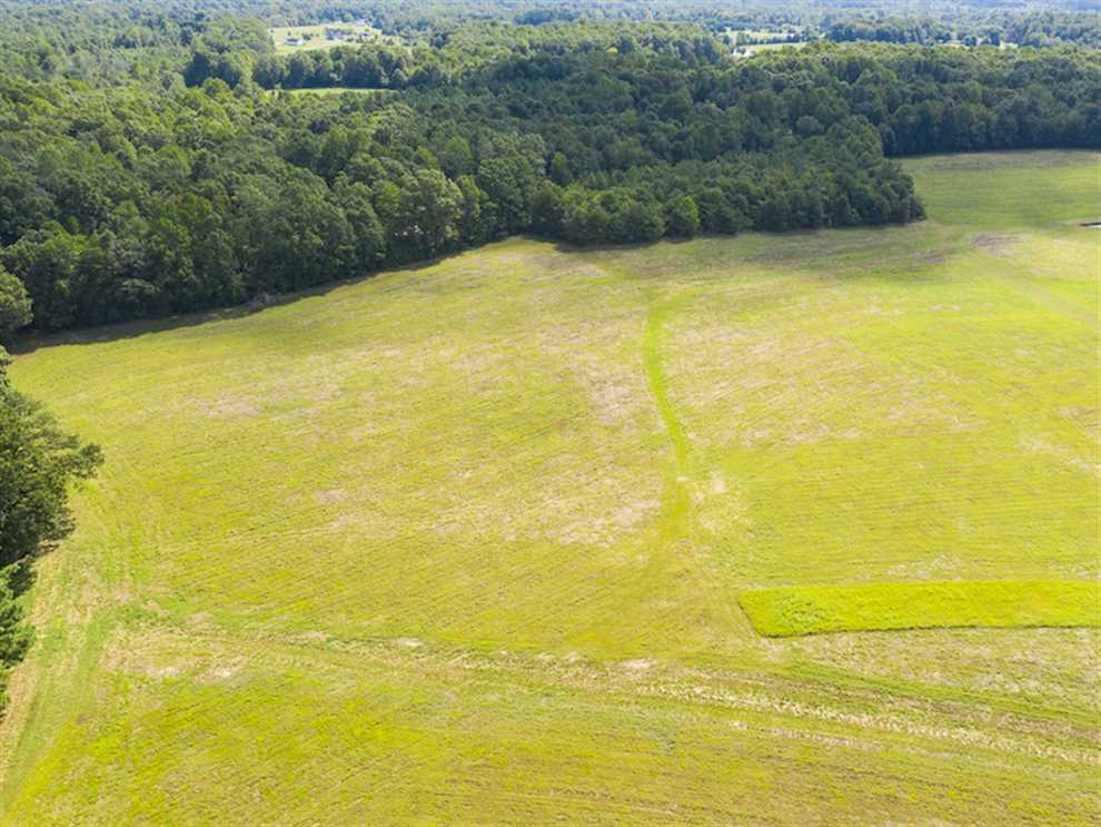 Houses and land for sale in North Carolina