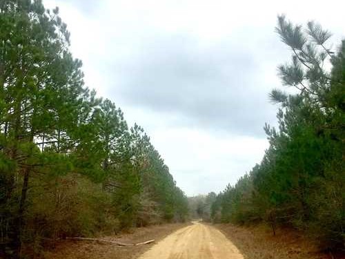 514 Acres of Land for Sale in beauregard County Louisiana