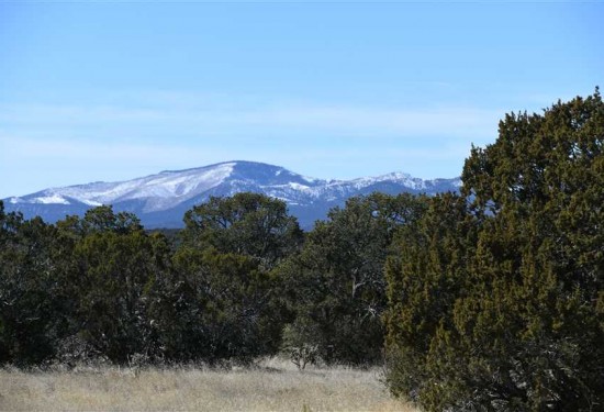 40.04 Acres of Land for Sale in torrance County New Mexico