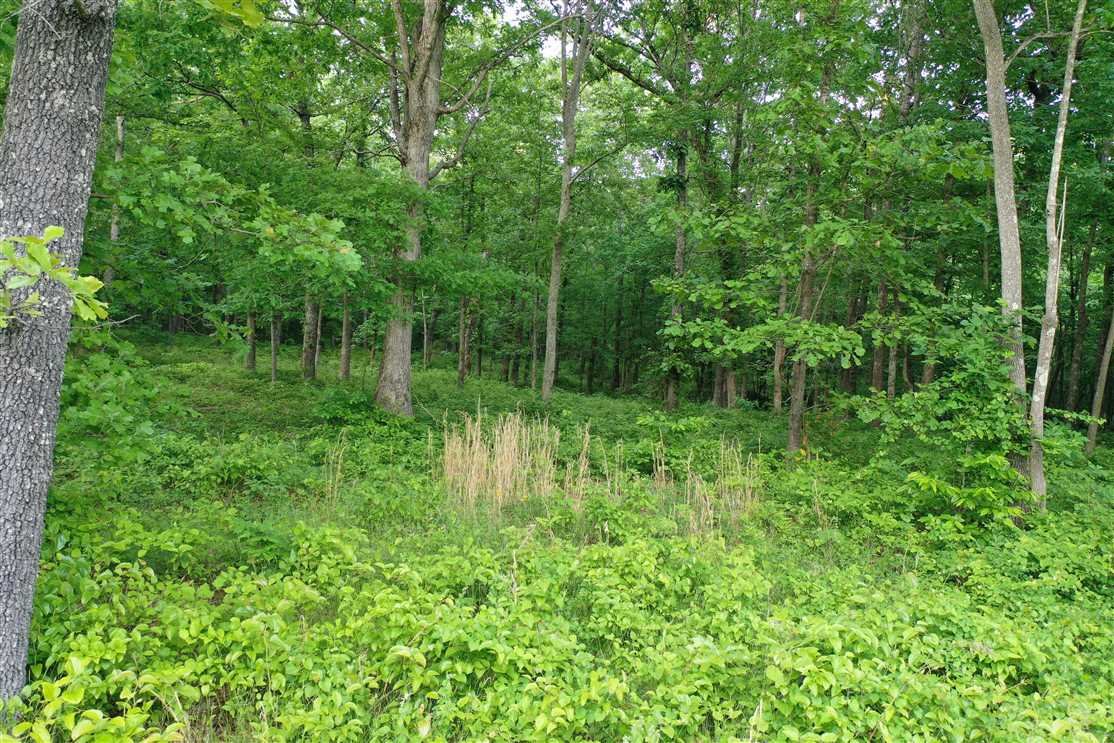 Property for sale at 0 Deer Grass Lane Lot 53