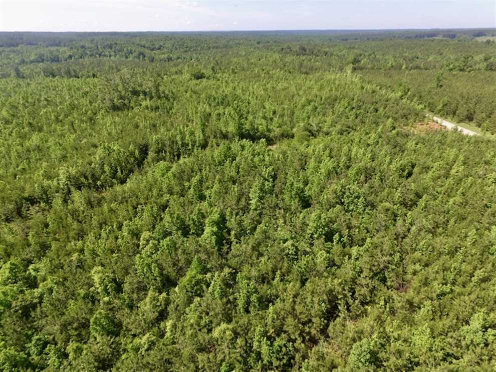 Land for sale to buy in 23954 zip code