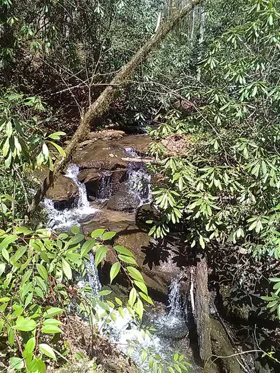 Houses and land for sale in North Carolina