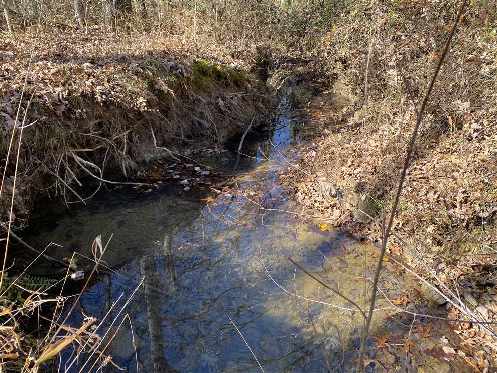 60 Acres of Land for sale in van buren County, Arkansas
