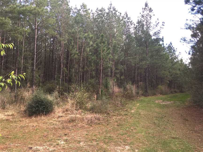 Property for sale at