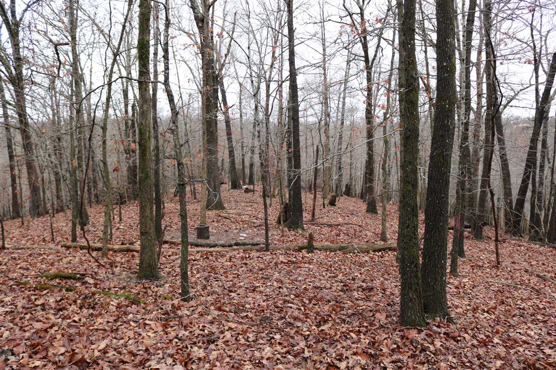 benton County, Arkansas property for sale