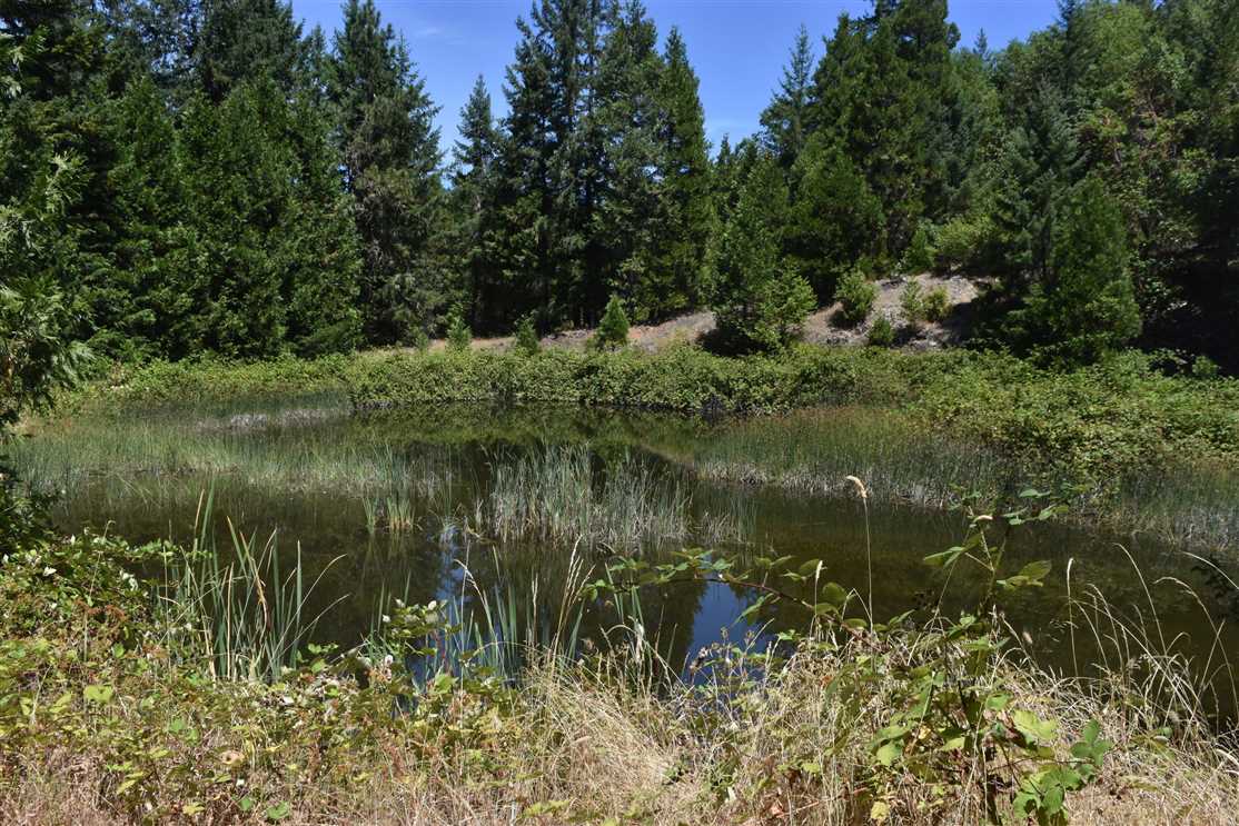 douglas County, Oregon property for sale