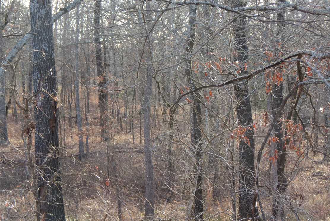 atoka County, Oklahoma property for sale