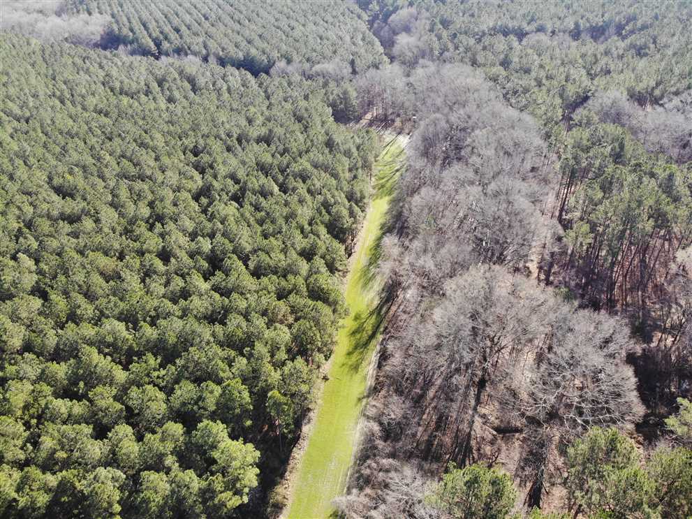 Timberland real estate available to buy