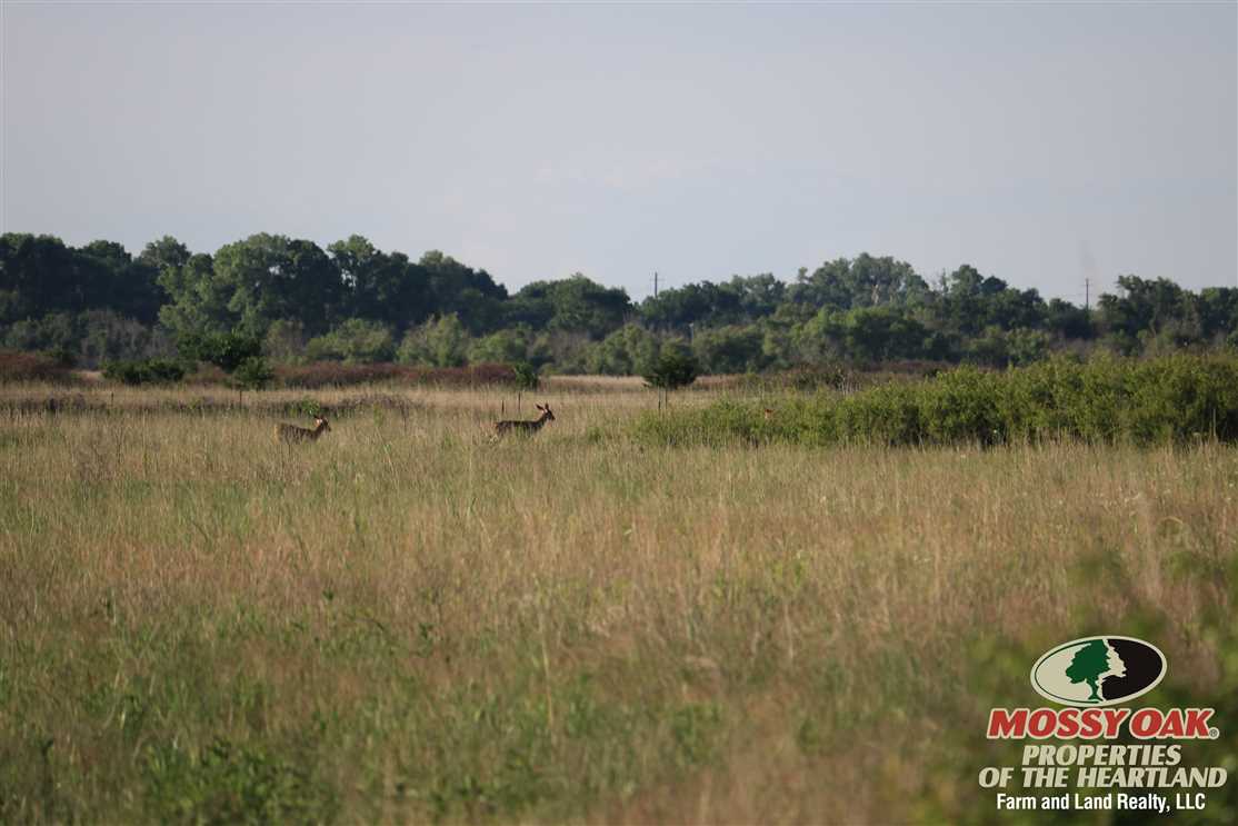 315 Acres of Land for sale in harvey County, Kansas