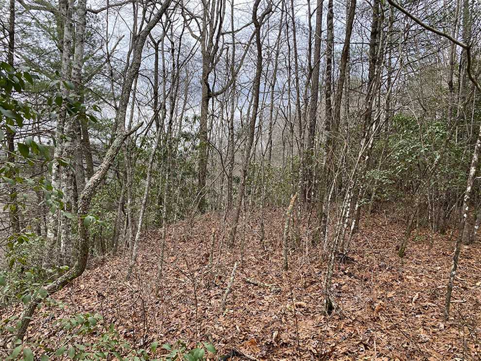 Land for sale to buy in 28713 zip code