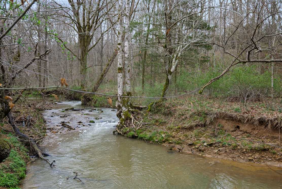 62.95 Acres of Recreational land for sale in Red Boiling Springs, clay County, Tennessee