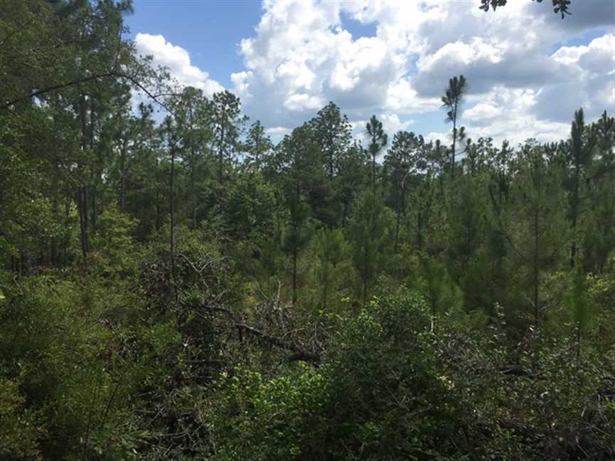 Property for sale at
