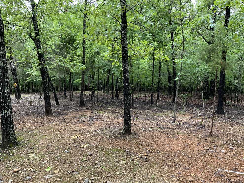 8 +/- Acres, Cabin, Well, Electric, Wooded, Great Hunting, Evening Shade, AR Real estate listing