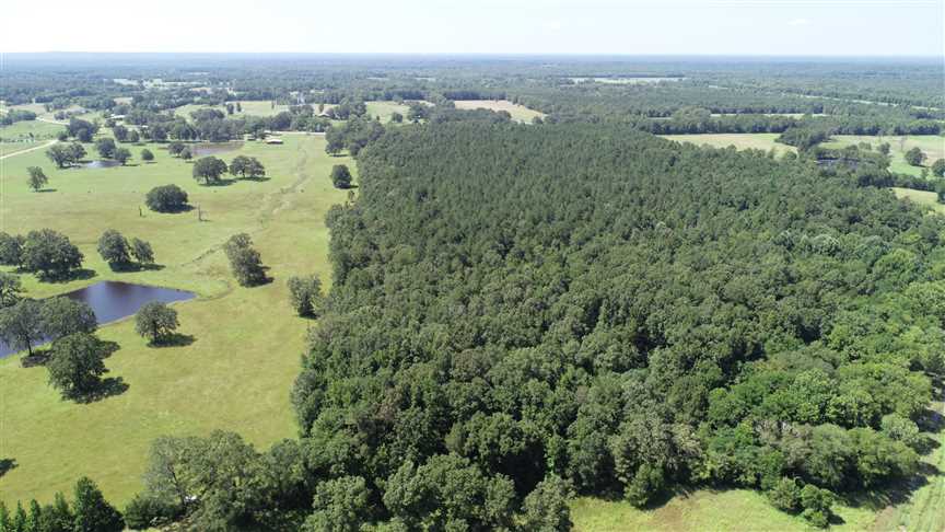 clay County, Mississippi property for sale