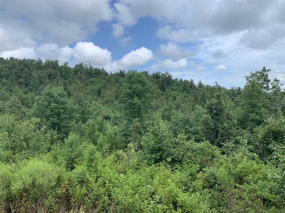 property for sale on The Land Market