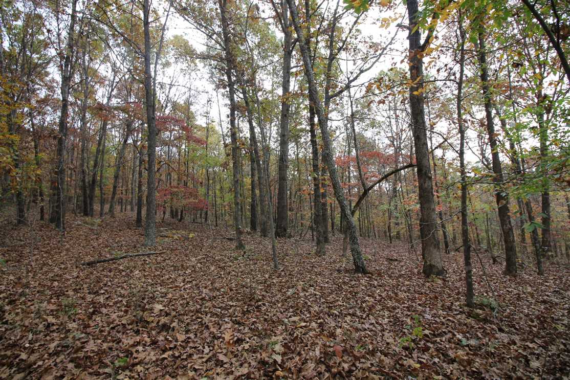 Houses and land for sale in Missouri