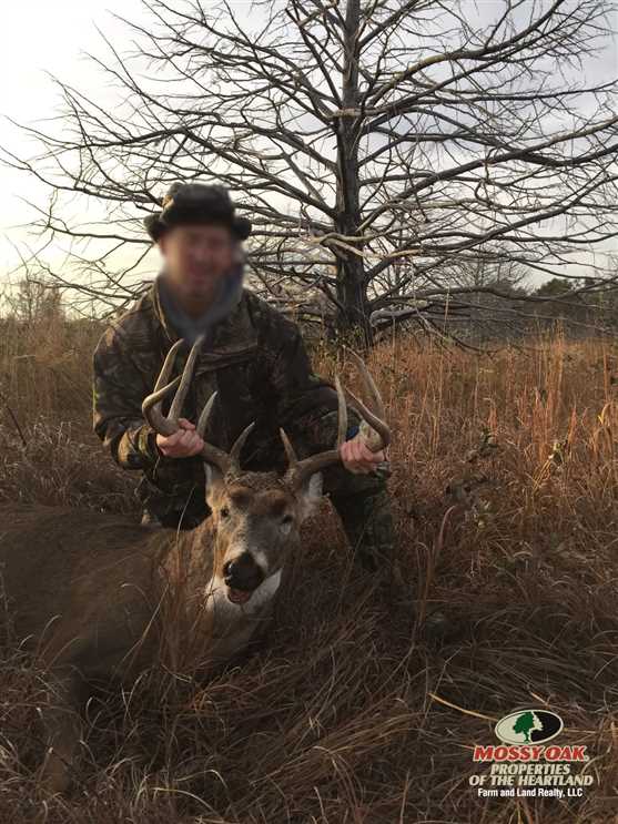315 Acre Duck and Deer Haven in Central Kansas Real estate listing