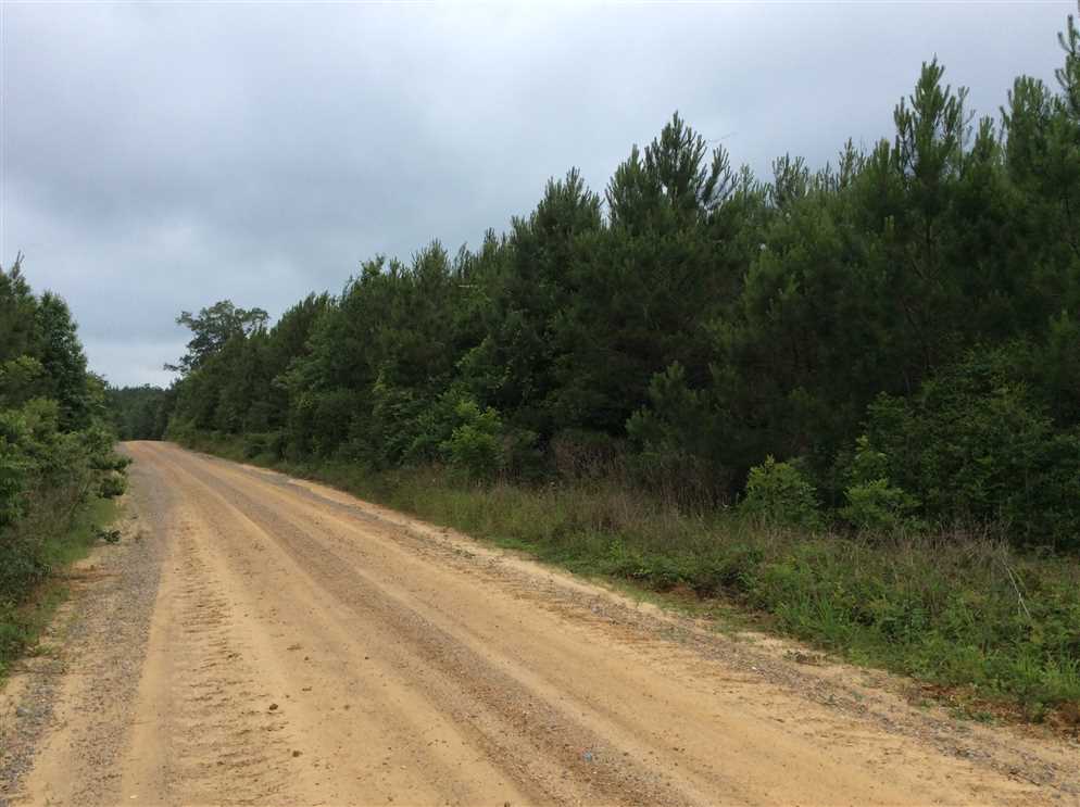 Gaars Mill Road Tract, Winn Parish, 80 Acres +/- Real estate listing