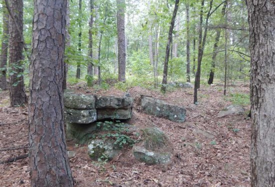4.53 Acres of Land for Sale in cleburne County Arkansas