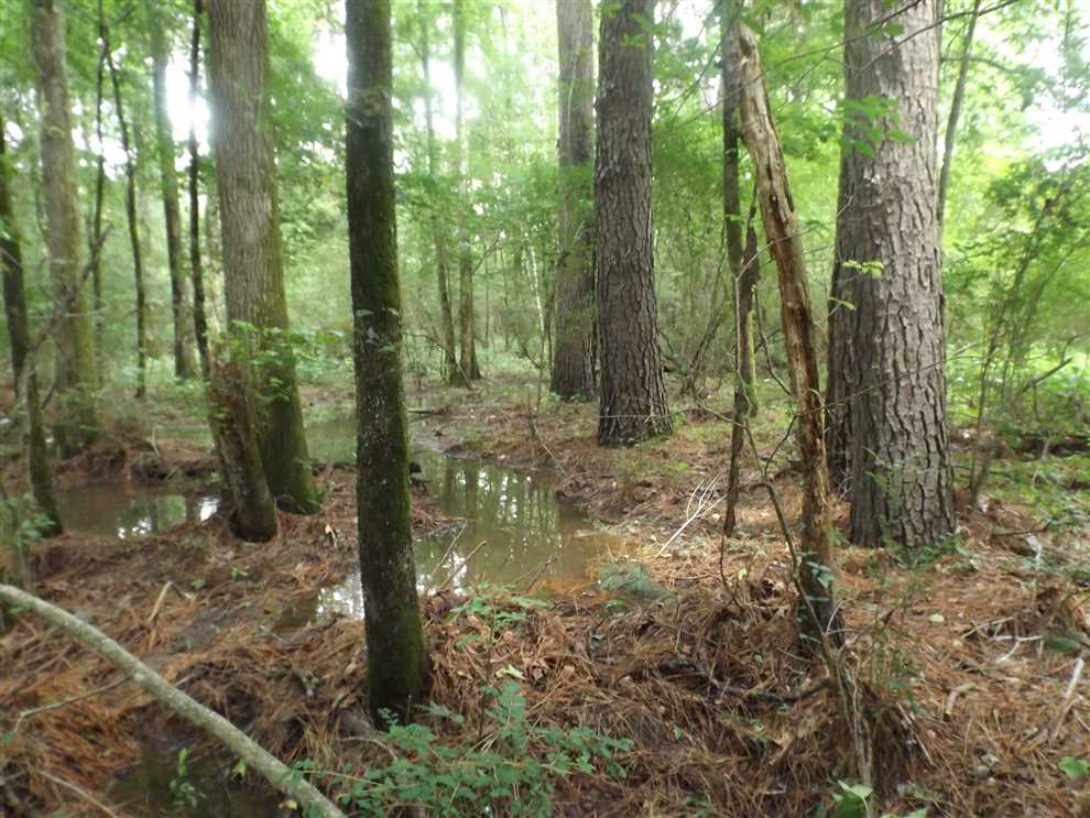 ashley County, Arkansas property for sale