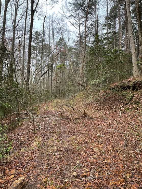 Land for sale to buy in 28638 zip code