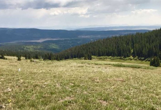 13.1 Acres of Land for Sale in park County Colorado