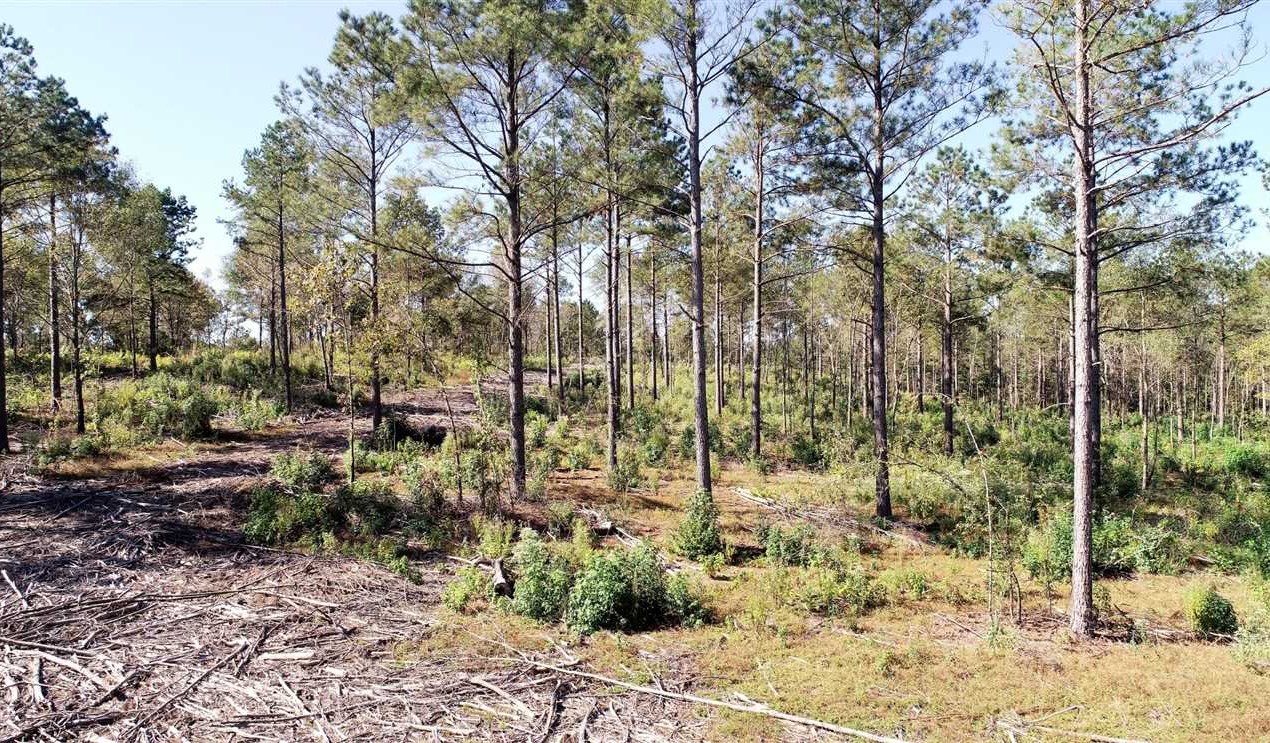 45 Acres of Land for sale in caddo County, Louisiana