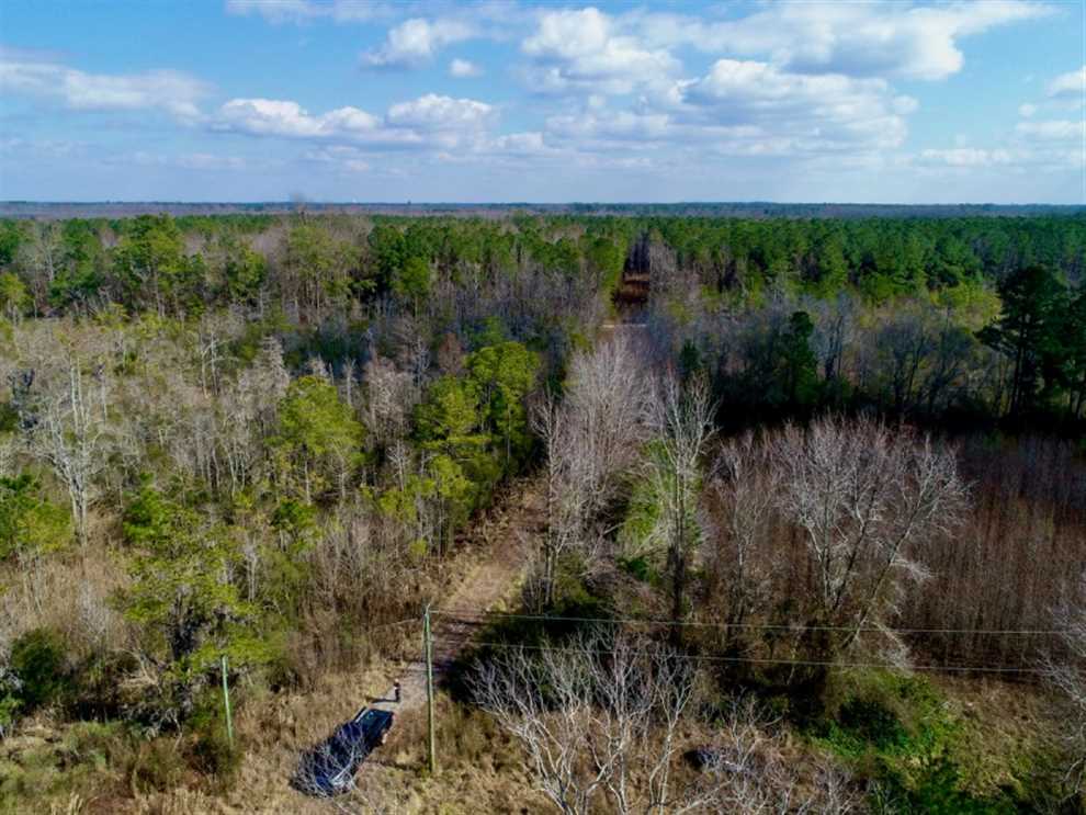 48.5 acre Waterfront Residential Land for Sale in Tyrrell County NC! Real estate listing