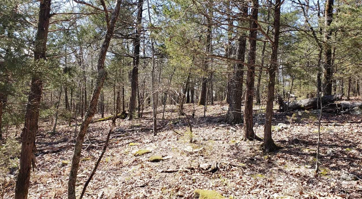 Bull Shoals Lake Horseshoe Bend Real estate listing