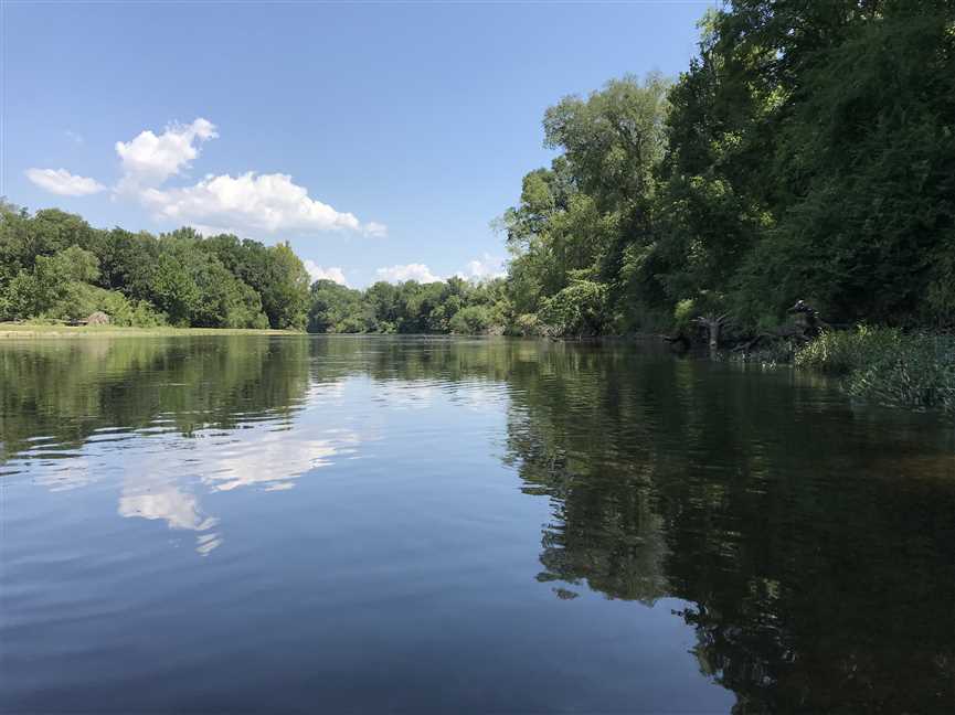 Lot 6 Ouachita River Lots. Owner finance available! Real estate listing