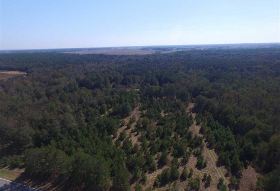 57 Acres of Land for Sale in dooly County Georgia