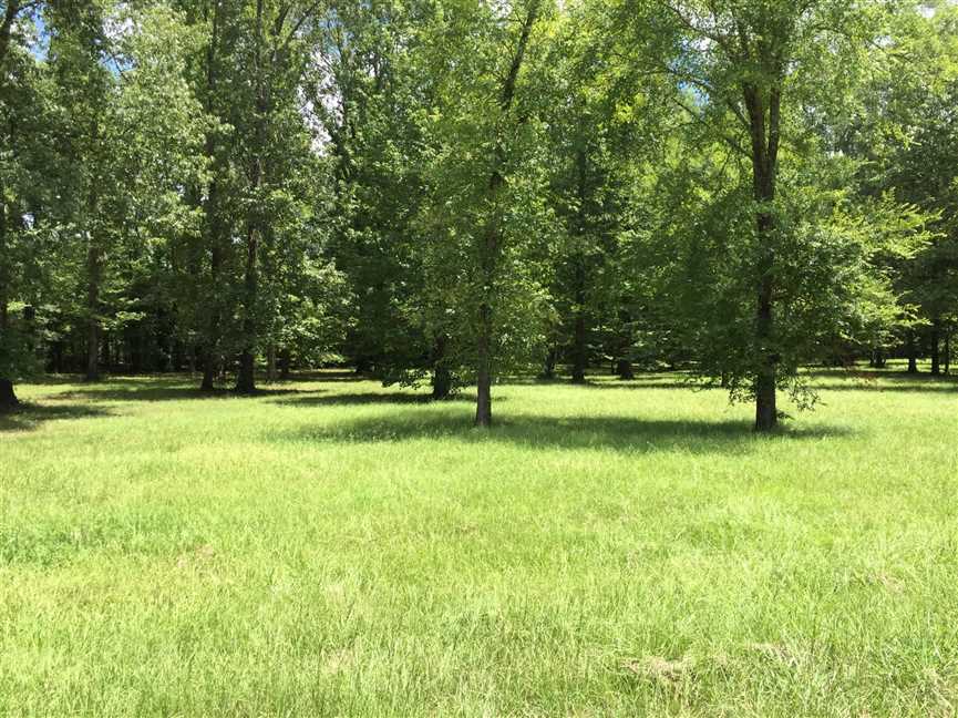 2.68 Acres of Land for sale in union County, Louisiana