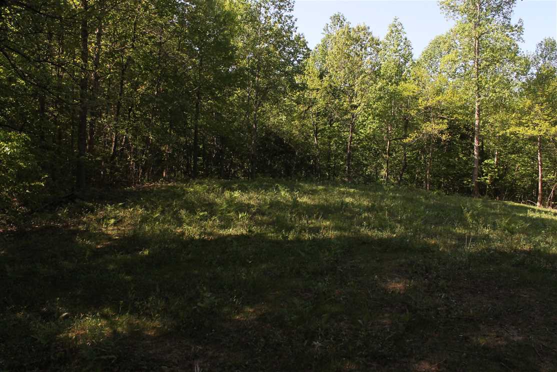 112 Acres of Recreational land for sale in Horse Cave, hart County, Kentucky