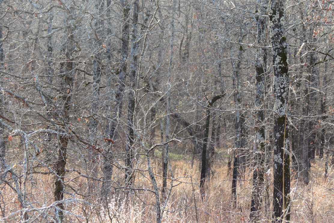 Houses and land for sale in Oklahoma