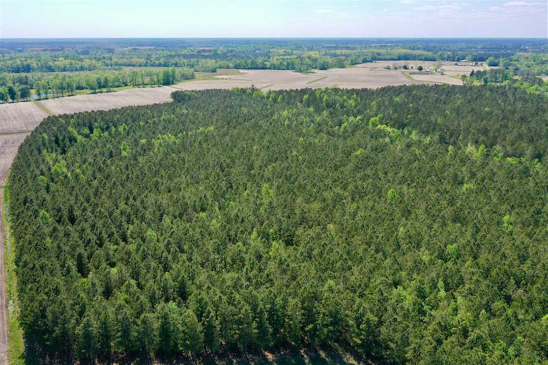 Houses and land for sale in North Carolina